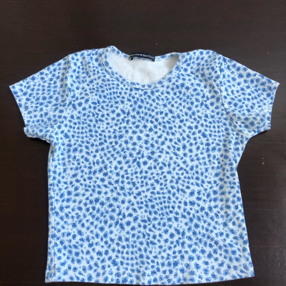 Brandy Melville Blue Ashlyn top